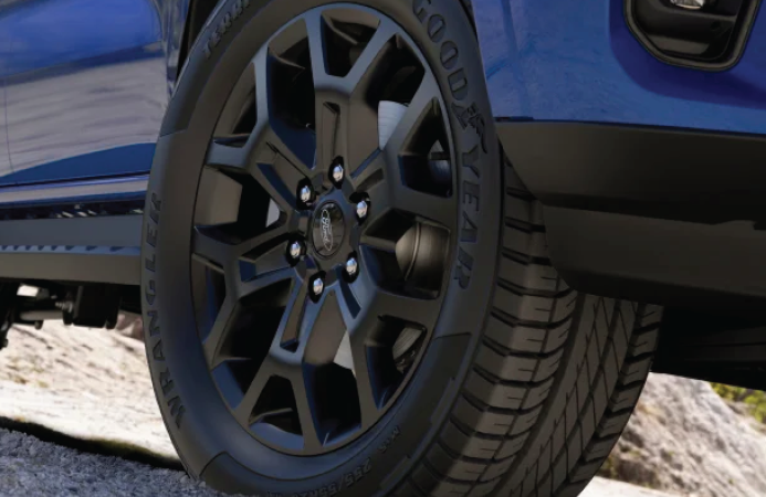 Everest Sport side profile
